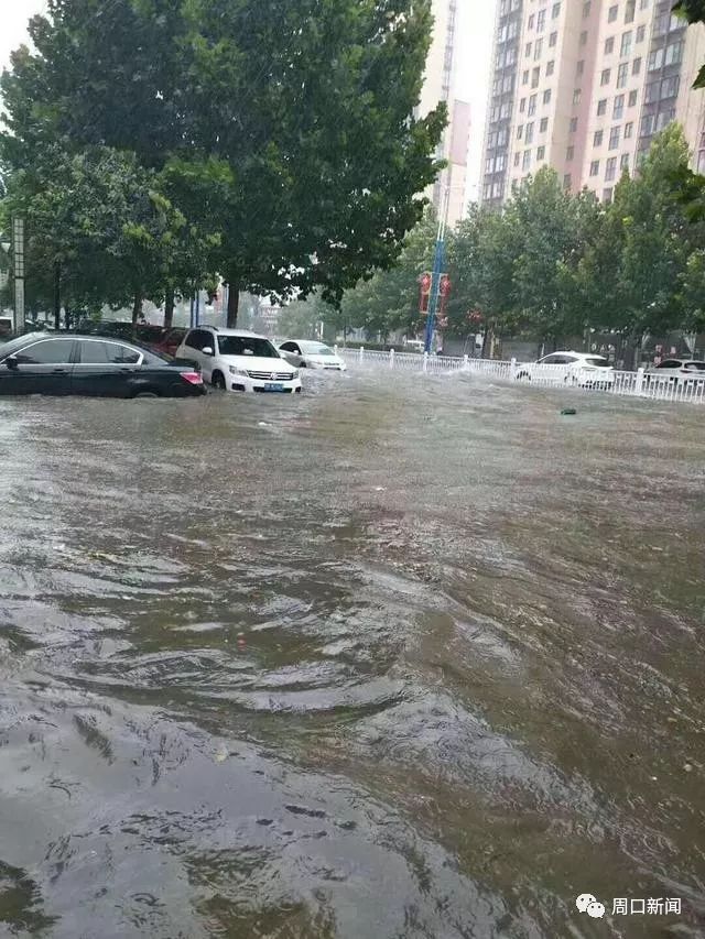 河南周口特大暴雨图片